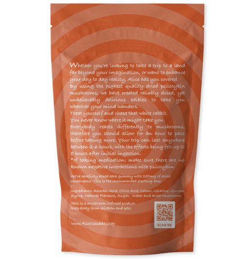 Back view of the detailed nutritional informational panel and custom layout on an Alice brand variety package
